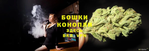 PSILOCYBIN Балахна