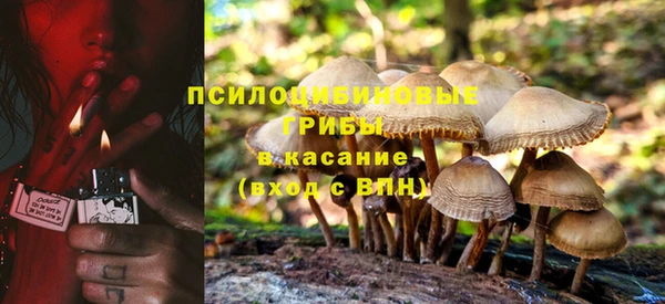 PSILOCYBIN Балахна