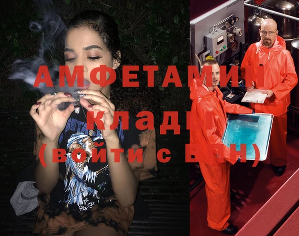 PSILOCYBIN Балахна