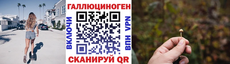 дарнет шоп  Пересвет  Псилоцибиновые грибы мицелий 